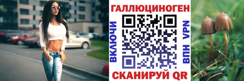Галлюциногенные грибы Cubensis  Стрежевой 